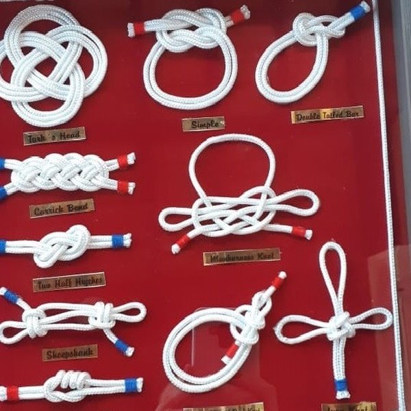 whatsapp image 2019 07 11 at 17 02 59 1