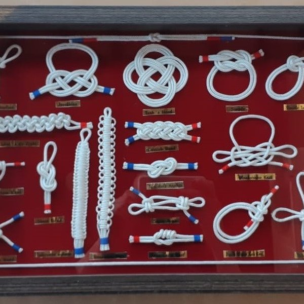 whatsapp image 2019 07 11 at 17 03 00